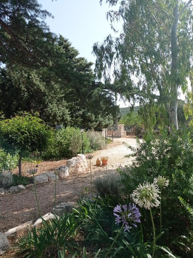Dimora Dalia - Puglia Mia Apartments 모노폴리 외부 사진